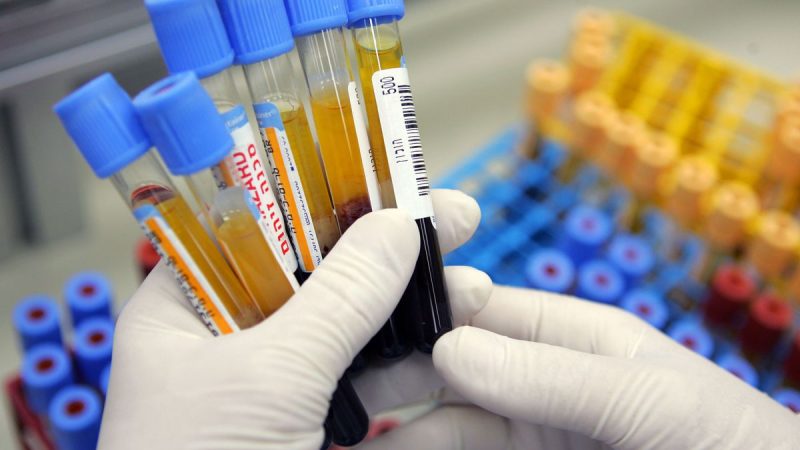 Gloved hands holding labeled blood sample tubes